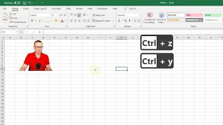 Excel undo and redo shortcuts Ctrl+Z and Ctrl+Y explained.