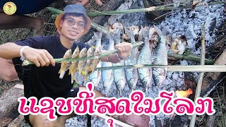 ກິນເຂົ້າປ່າແຊບທີ່ສຸດໃນໂລກ - กินข้าวป่าอารอยหมาก picnic