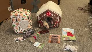 Reviewing December 2023's Ratty Box!