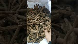 Indian costus root Qust al Hindi， export herbs +8613821972656