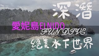 愛妮島潛店推薦｜🐢Turtle Dive坐快艇去潛水｜三大熱門潛點