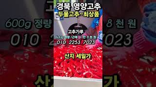 고춧가루 산지세일가 판매 600g정량~18000원(택포)입니다