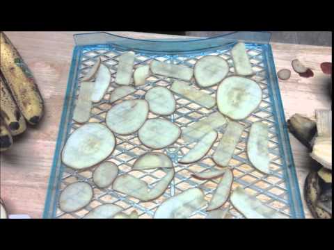 Dehydrated apples and bananas Dehydrated apples and bananas