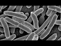 ‘Take him to the ER’; St. Louis County Health Department investigating E. coli involving high sch...