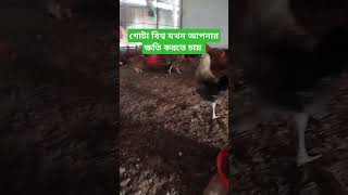 মনে রেখো গোটা বিশ্ব যদি তোমার ক্ষতি করতে চায় #আজহারী #islamicstatus