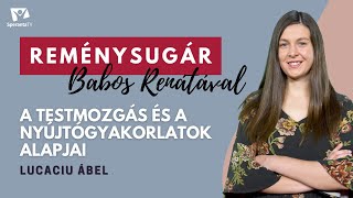 A TESTMOZGÁS ÉS A NYÚJTÓGYAKORLATOK ALAPJAI