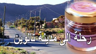 رحلة الى مدينة تالوين للبحث عن الزعفران  |  الجزء الأول . Saffron