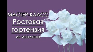 🌸РОСТОВАЯ ГОРТЕНЗИЯ из изолона (Мастер-Класс 2018)