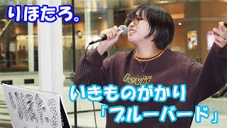 いきものがかり「ブルーバード」cover りほたろ 川崎路上ライブ