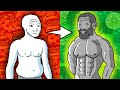 How to Build an Aesthetic Body (No Bullsh*T Guide)