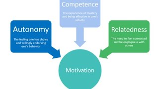 Ryan and deci self determination theory