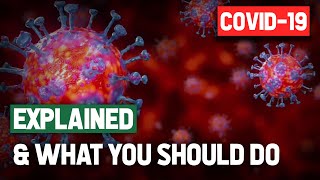 The Coronavirus Explained & What You Should Do