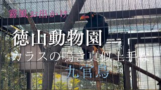 周南市徳山動物園