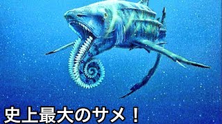 【ゆっくり解説】メガロドンを遥かに超える超巨大ザメ！パラヘリコプリオン！