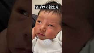 【新生児】生後6日目　#shorts #赤ちゃん #新生児 #baby #bachcha