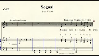 MR  2-34 Sognai 꿈을 꾸었네 Schira 스키라 C major 라장조 (For Low Voice)