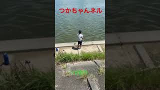 【浜名湖】河口でハゼ釣り