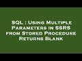 SQL : Using Multiple Parameters in SSRS from Stored Procedure Returns Blank