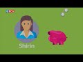 Money matters | Crazy ways to save money