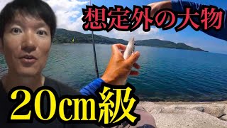 愛知県三河湾、白谷海浜公園へちょい投げ釣りプチ遠征したら…