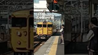 115系D−07編成糸崎駅入線　2024年11月10日