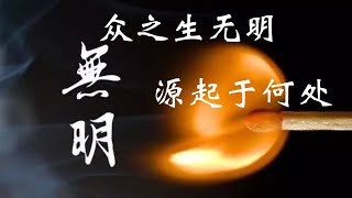 佛教理论中所说的众生无明是什么意思？众生为什么会是无明的？要如何才能从无明中解脱出来？