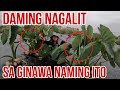 Daming Nagalit Dahil sa Ginawa Naming Ito