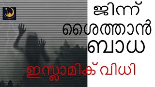 ജിന്ന്,പിശാച്,ശൈത്താൻ ബാധ    ശിഹാബുദ്ധീൻ ഫൈസി ISLAMIC SPEACH MALAYALAM