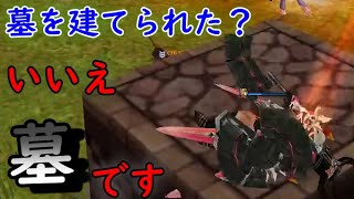 21/1/25【ファンタジーアースゼロ】墓になる【FEZ実況】