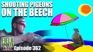 Fieldsports Britain - Shooting Pigeons on the Beech