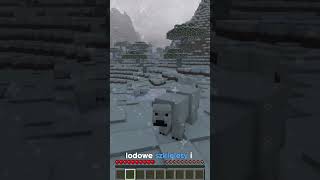 Zlodowacenie w minecraft! - Szybki przegląd modyfikacji #shorts  #minecraftpolska  #minecraft #gry