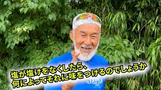 「塩が塩けをなくしたら、何によってそれに味をつけるのでしょうか」THE DAILY with Arthur Hollands   2024/07/02