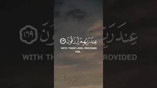 তোমরা হতাশ হয়োনা #Quran #islamicvideo #dua