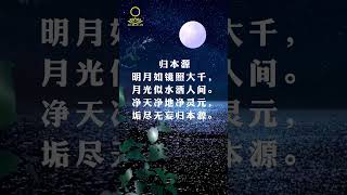 Susan禅修偈语系列之【归本源】|一轮明月当空照 | 星光熠熠光明亮|