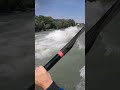 2024 07 kayaking kuchler schwall on salzach river near salzburg