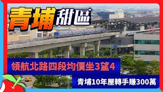 領航北路四段均價坐3望4　青埔10年屋轉手賺300萬 | 台灣新聞 Taiwan 蘋果新聞網