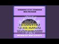 Subliminal Celtic Shamanism Mind Program - Ocean Soundscape Track