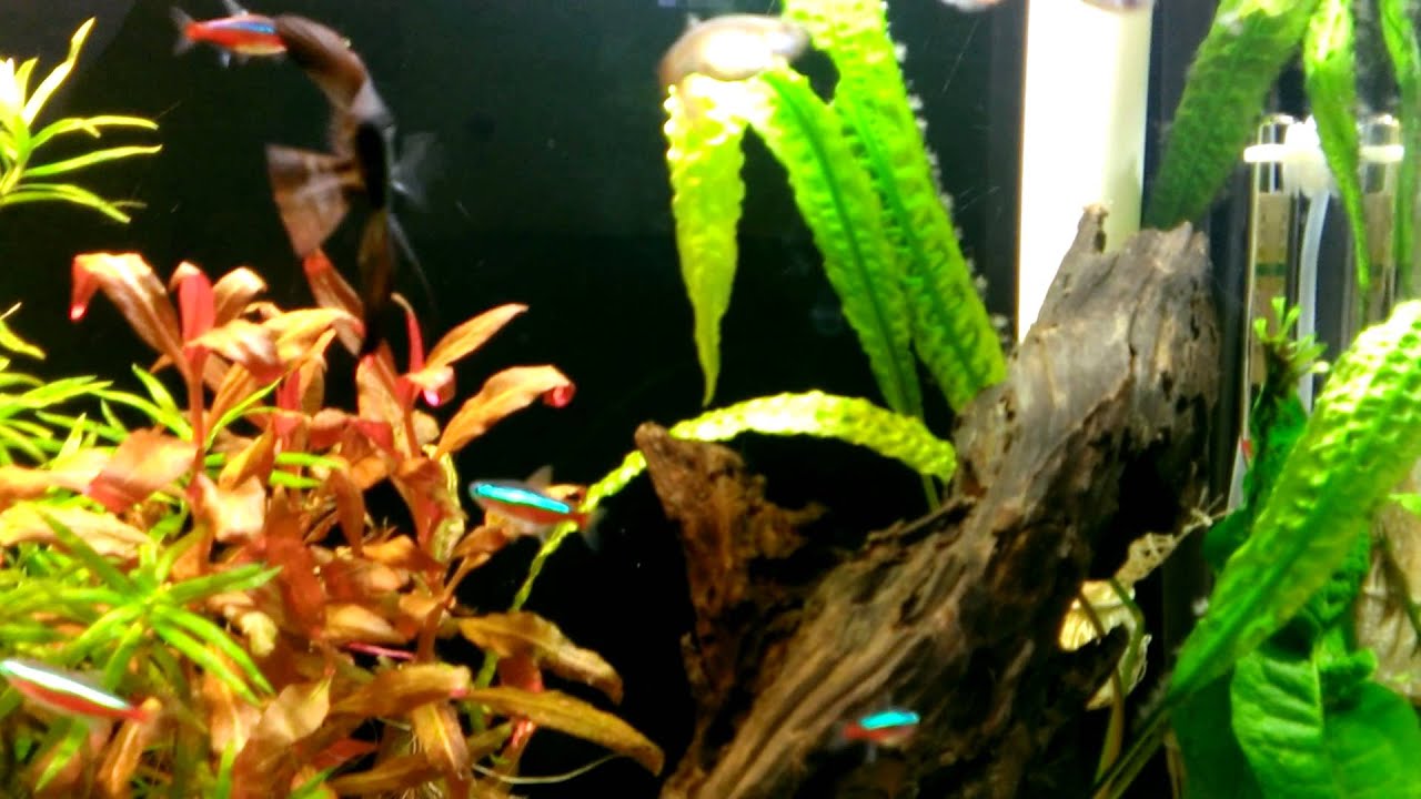 Wp 20140504 002 Youtube