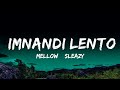 1 Hour |  Mellow & Sleazy x SjavasDeejay x TitoM - Imnandi lento (Lyrics) feat. Tman Xpress  | Lyri