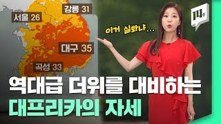 코로나에 역대급 더위까지...35℃! 풍경 바뀐 대프리카 벌써 시작됐다 / 14F