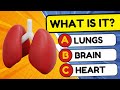 How Many Human Organs Can You Guess? 🧠🦴🦵 | General Knowledge Quiz