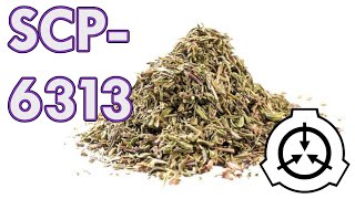 SCP-6313 | Thyme is a Flat Circle | Euclid | Teleportation SCP 🌿