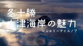 真冬奇跡 ジュエリーアイス 大津海岸 の魅力【4K】北海道 道東 十勝 絶景 豊頃町  次の旅行の目的地に《hokkaido》