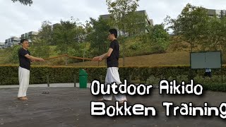 Outdoor Aikido - Bokken Training