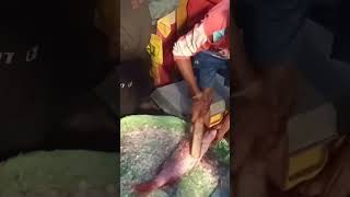 kestopur fish mela #viral #shorts #hooghly