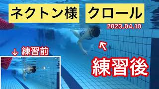 クロール　練習前→練習後水中映像　ネクトン様　2023.04.10