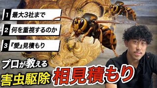 プロの害虫駆除業者が相見積もりを解説します