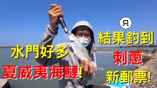 水門好多夏威夷海鰱! 結果(只)釣到刺蔥新郵票!    #路亞 #釣魚 #水門 #海鰱 #刺蔥 #OKUMA岩刃 #根魚 #阿修釣魚中