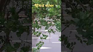 🚉막차로 떠난여자/1970《불멸의가수-배호》