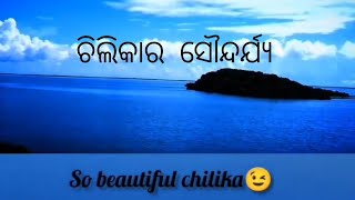 ଚିଲିକାର ସୌନ୍ଦର୍ଯ୍ୟ କେତେ ସୁନ୍ଦର 😉 !! chilika nature so beautiful😉